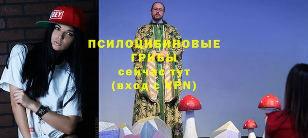 герыч Арсеньев