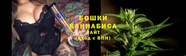 сатива Абаза