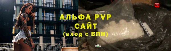 сатива Абаза