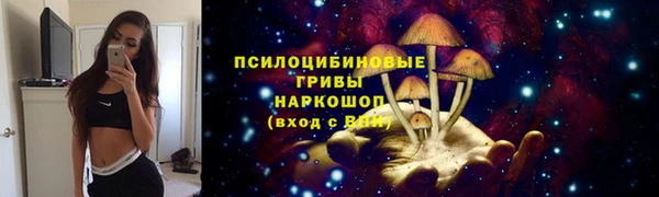 гидропоника Абинск