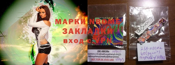 гашик Аркадак