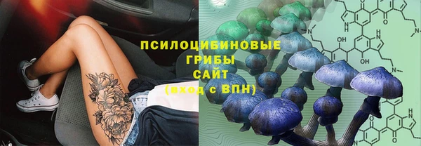 герыч Арсеньев