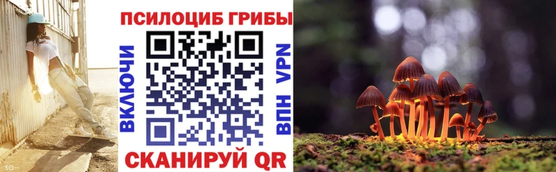 наркошоп  Астрахань  Псилоцибиновые грибы прущие грибы 