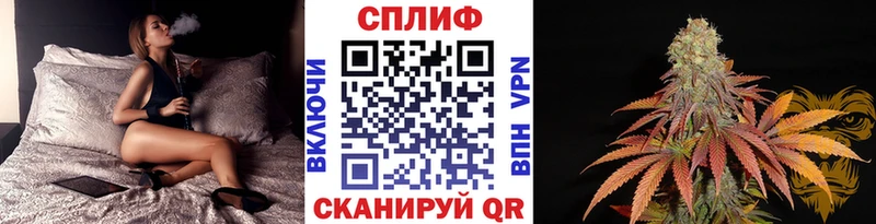 shop телеграм  Астрахань  Каннабис White Widow 